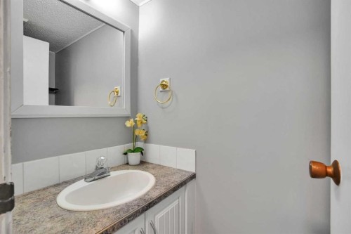 36 Falton Court Ne, Calgary, AB - Indoor Photo Showing Bathroom