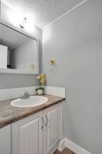 36 Falton Court Ne, Calgary, AB - Indoor Photo Showing Bathroom