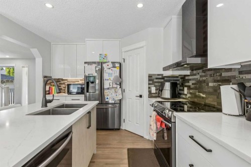 60 Cranfield Park Se, Calgary, AB - Indoor Photo Showing Kitchen With Double Sink With Upgraded Kitchen