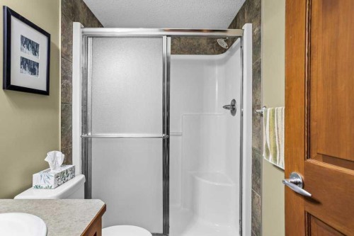 215-150 Crossbow Place, Canmore, AB - Indoor Photo Showing Bathroom