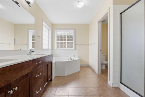 47 Evanspark Circle, Calgary, AB - Indoor Photo Showing Bathroom