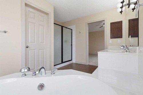 47 Evanspark Circle, Calgary, AB - Indoor Photo Showing Bathroom
