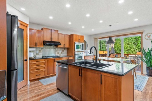 114 Chapalina Terrace Se, Calgary, AB - Indoor Photo Showing Kitchen With Double Sink