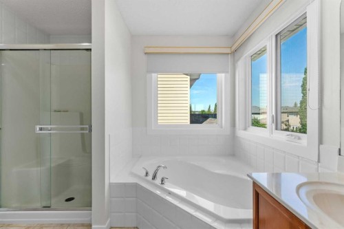 114 Chapalina Terrace Se, Calgary, AB - Indoor Photo Showing Bathroom