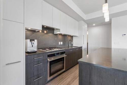 1011-730 2 Avenue Sw, Calgary, AB - Indoor Photo Showing Kitchen With Upgraded Kitchen