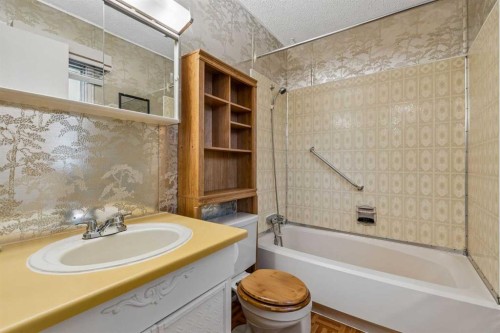 165 Spring Dale Circle Se, Airdrie, AB - Indoor Photo Showing Bathroom