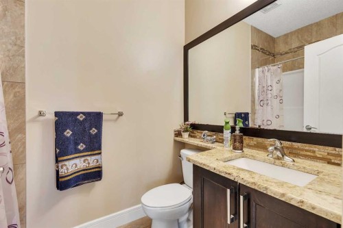 9 Saddlelake Grove Ne, Calgary, AB - Indoor Photo Showing Bathroom