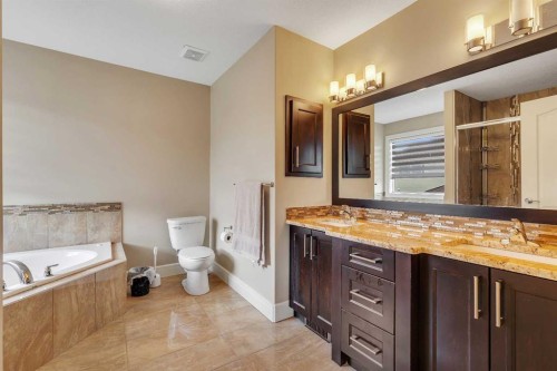 9 Saddlelake Grove Ne, Calgary, AB - Indoor Photo Showing Bathroom
