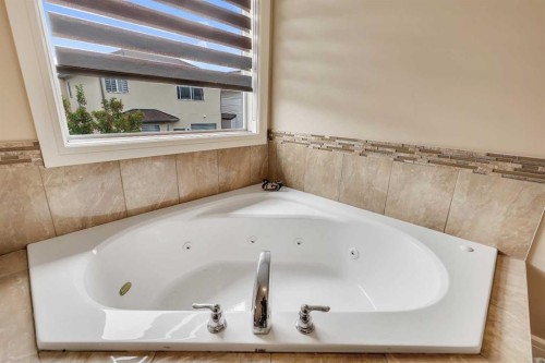 9 Saddlelake Grove Ne, Calgary, AB - Indoor Photo Showing Bathroom