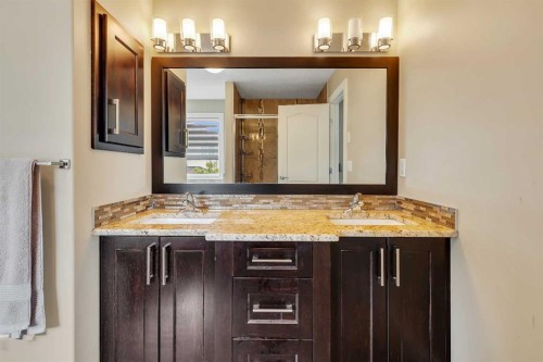 9 Saddlelake Grove Ne, Calgary, AB - Indoor Photo Showing Bathroom