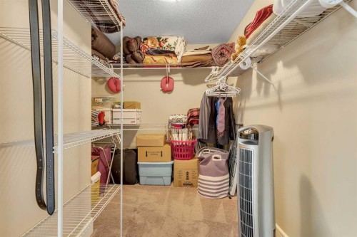 9 Saddlelake Grove Ne, Calgary, AB - Indoor With Storage