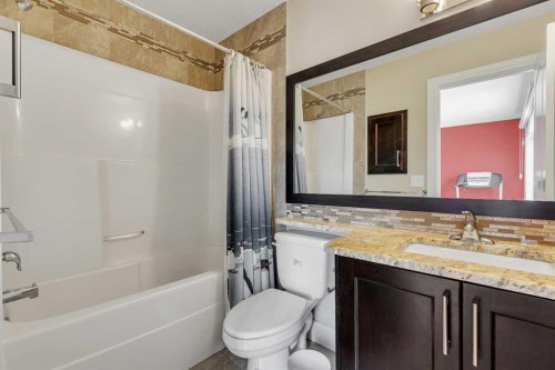 9 Saddlelake Grove Ne, Calgary, AB - Indoor Photo Showing Bathroom