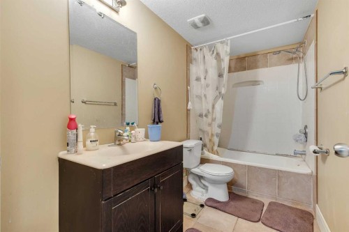 9 Saddlelake Grove Ne, Calgary, AB - Indoor Photo Showing Bathroom