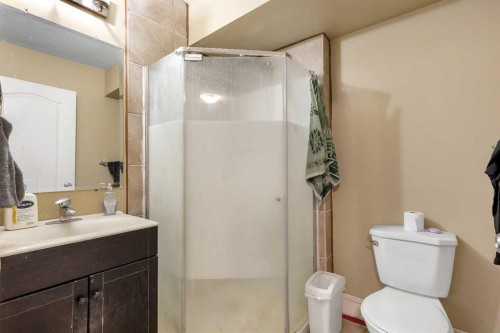 9 Saddlelake Grove Ne, Calgary, AB - Indoor Photo Showing Bathroom