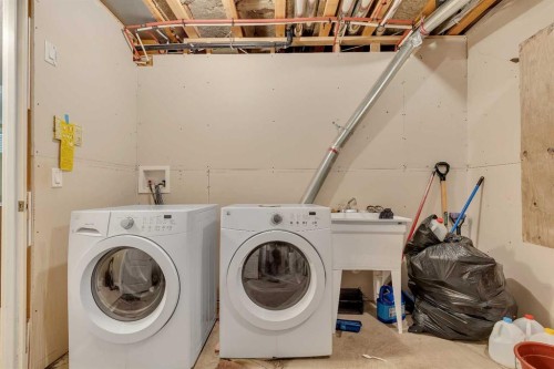 9 Saddlelake Grove Ne, Calgary, AB - Indoor Photo Showing Laundry Room