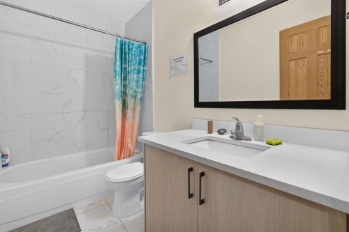 319 Rundlelawn Road Ne, Calgary, AB - Indoor Photo Showing Bathroom