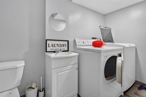 319 Rundlelawn Road Ne, Calgary, AB - Indoor Photo Showing Laundry Room
