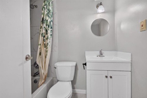 319 Rundlelawn Road Ne, Calgary, AB - Indoor Photo Showing Bathroom