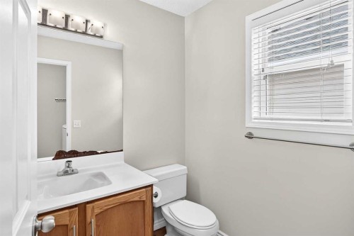 247 Covington Close Ne, Calgary, AB - Indoor Photo Showing Bathroom