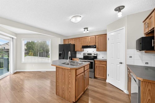 247 Covington Close Ne, Calgary, AB - Indoor Photo Showing Kitchen With Double Sink