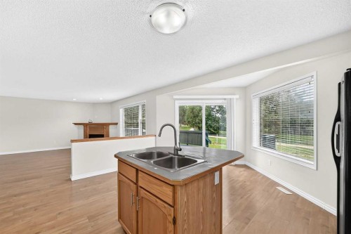 247 Covington Close Ne, Calgary, AB - Indoor Photo Showing Kitchen With Double Sink
