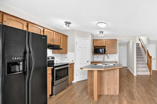 247 Covington Close Ne, Calgary, AB - Indoor Photo Showing Kitchen With Double Sink