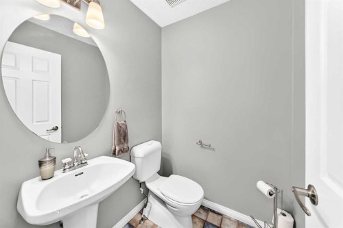 23 Thornbird Way Se, Airdrie, AB - Indoor Photo Showing Bathroom