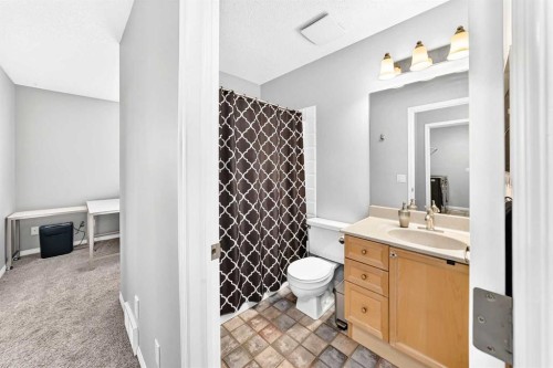 23 Thornbird Way Se, Airdrie, AB - Indoor Photo Showing Bathroom