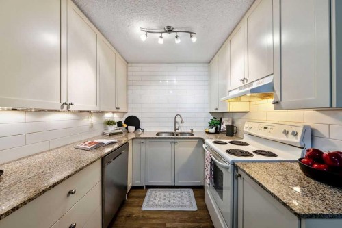 14-14736 Deerfield Drive Se, Calgary, AB - Indoor Photo Showing Kitchen With Double Sink