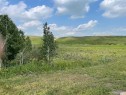9 Valarosa View, Didsbury, AB 