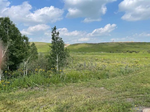11 Valarosa Green, Didsbury, AB 