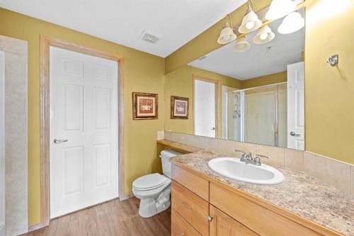 225-15 Everstone Drive Sw, Calgary, AB - Indoor Photo Showing Bathroom