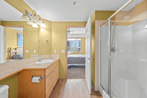 225-15 Everstone Drive Sw, Calgary, AB - Indoor Photo Showing Bathroom