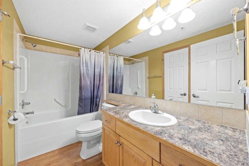 225-15 Everstone Drive Sw, Calgary, AB - Indoor Photo Showing Bathroom