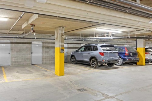 225-15 Everstone Drive Sw, Calgary, AB - Indoor Photo Showing Garage