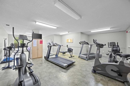 225-15 Everstone Drive Sw, Calgary, AB - Indoor Photo Showing Gym Room
