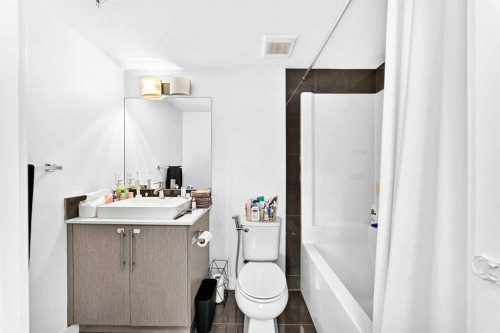 4116-302 Skyview Ranch Drive Ne, Calgary, AB - Indoor Photo Showing Bathroom