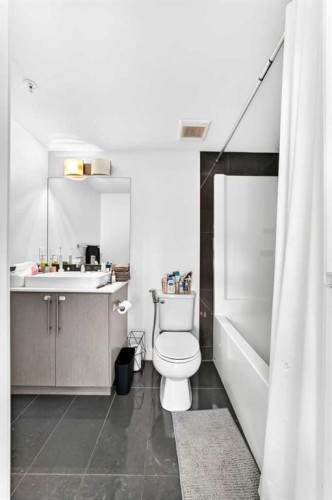 4116-302 Skyview Ranch Drive Ne, Calgary, AB - Indoor Photo Showing Bathroom