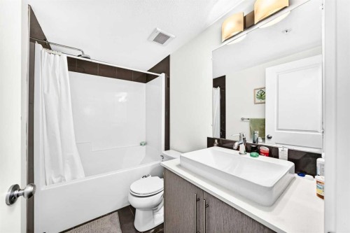 4116-302 Skyview Ranch Drive Ne, Calgary, AB - Indoor Photo Showing Bathroom