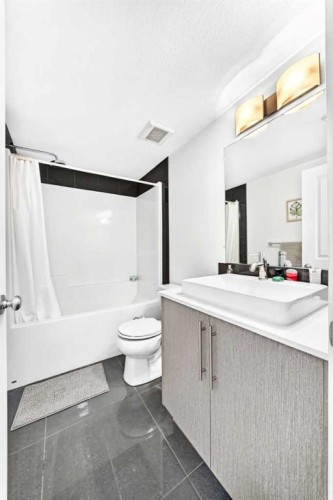 4116-302 Skyview Ranch Drive Ne, Calgary, AB - Indoor Photo Showing Bathroom