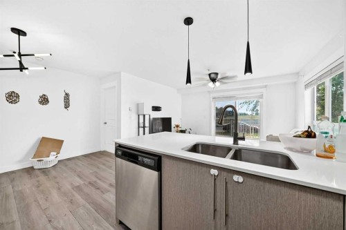 4116-302 Skyview Ranch Drive Ne, Calgary, AB - Indoor Photo Showing Kitchen With Double Sink
