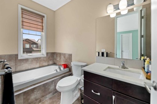 259 Cityscape Gardens Ne, Calgary, AB - Indoor Photo Showing Bathroom
