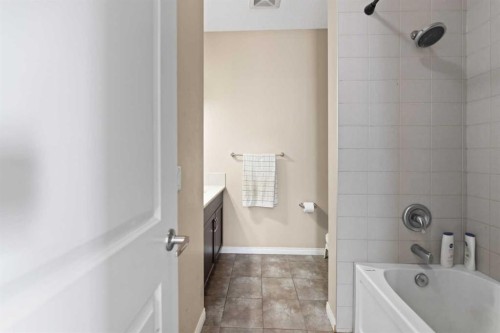 259 Cityscape Gardens Ne, Calgary, AB - Indoor Photo Showing Bathroom