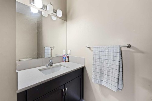 259 Cityscape Gardens Ne, Calgary, AB - Indoor Photo Showing Bathroom