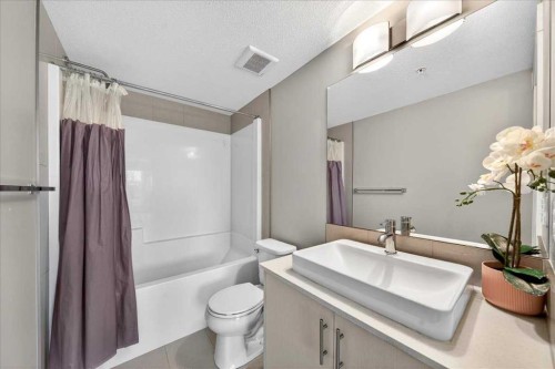 3306-302 Skyview Ranch Drive Ne, Calgary, AB - Indoor Photo Showing Bathroom