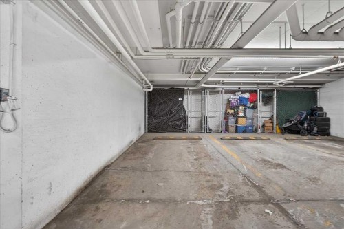 3306-302 Skyview Ranch Drive Ne, Calgary, AB - Indoor Photo Showing Garage