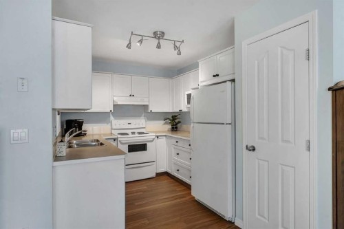 6-156 Canoe Drive Sw, Airdrie, AB - Indoor Photo Showing Kitchen With Double Sink