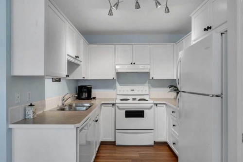 6-156 Canoe Drive Sw, Airdrie, AB - Indoor Photo Showing Kitchen With Double Sink