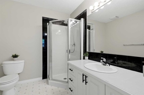 18-15 Silver Springs Way Nw, Airdrie, AB - Indoor Photo Showing Bathroom