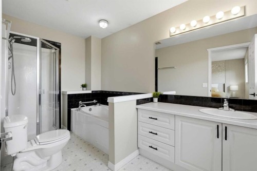 18-15 Silver Springs Way Nw, Airdrie, AB - Indoor Photo Showing Bathroom